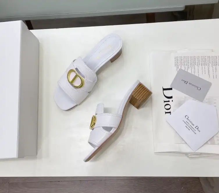 hype Christian Dior Slippers