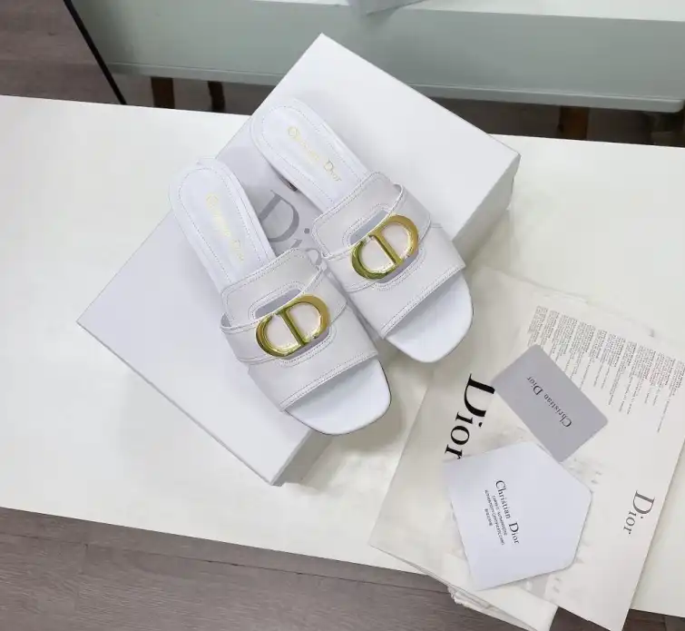 hype Christian Dior Slippers