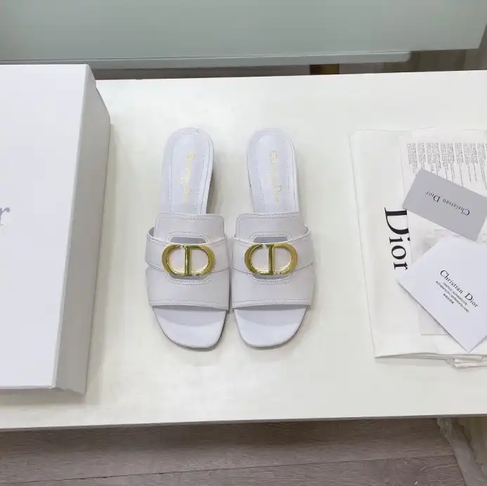 hype Christian Dior Slippers