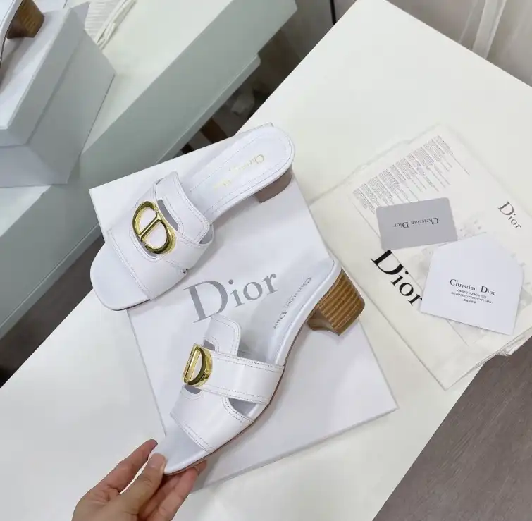 hype Christian Dior Slippers