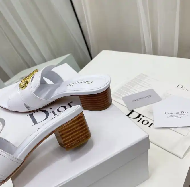 hype Christian Dior Slippers