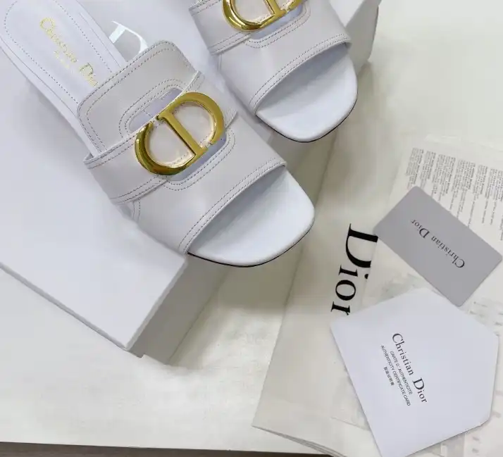 hype Christian Dior Slippers