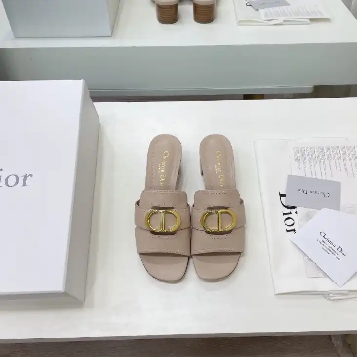 hype Christian Dior Slippers