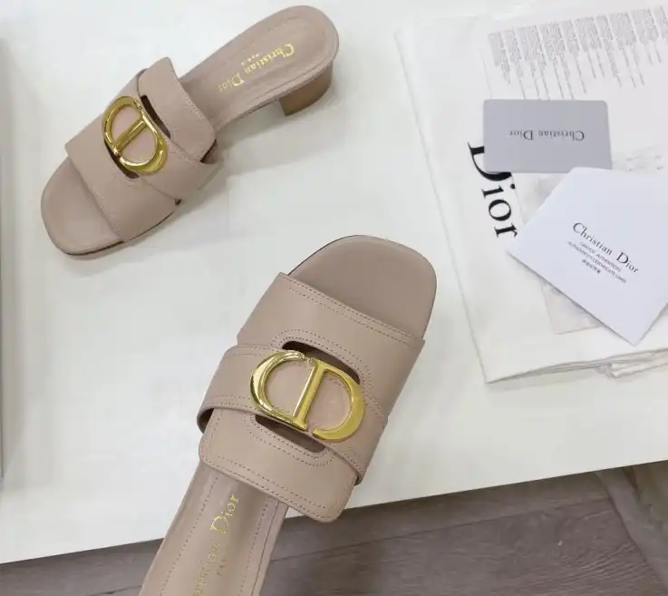 hype Christian Dior Slippers