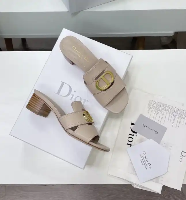 hype Christian Dior Slippers