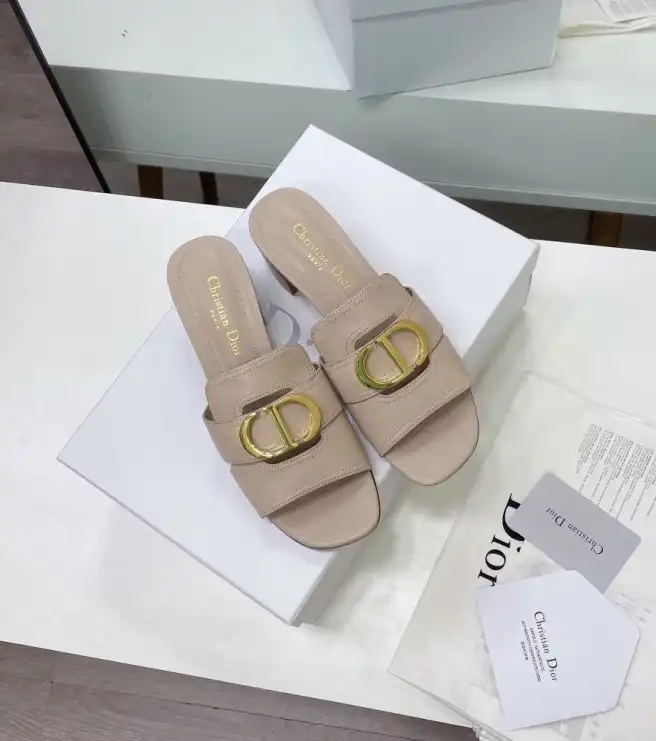 hype Christian Dior Slippers