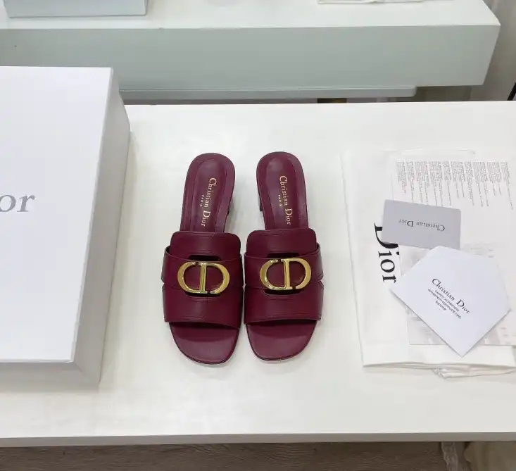 hype Christian Dior Slippers