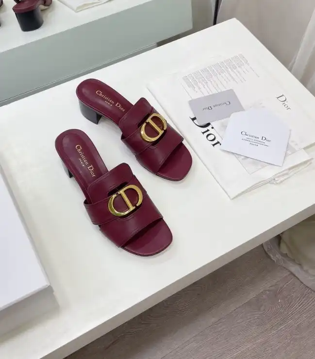 hype Christian Dior Slippers