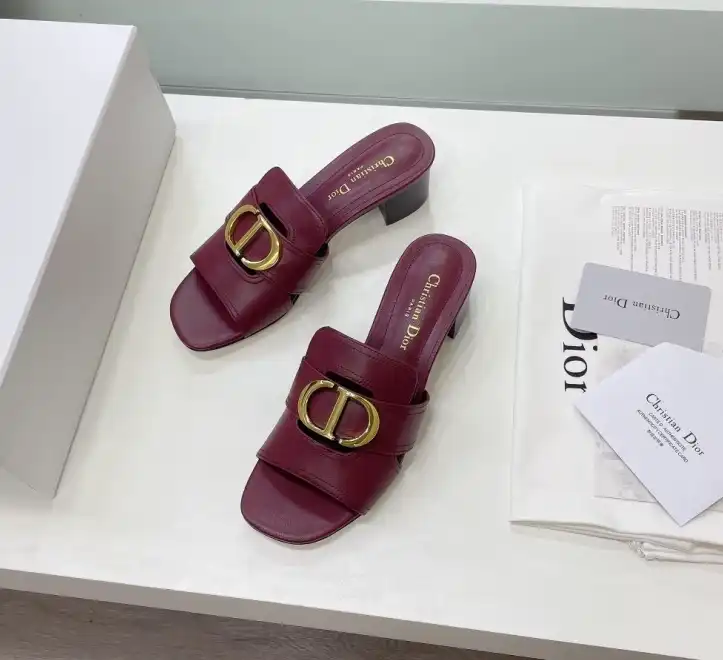 hype Christian Dior Slippers