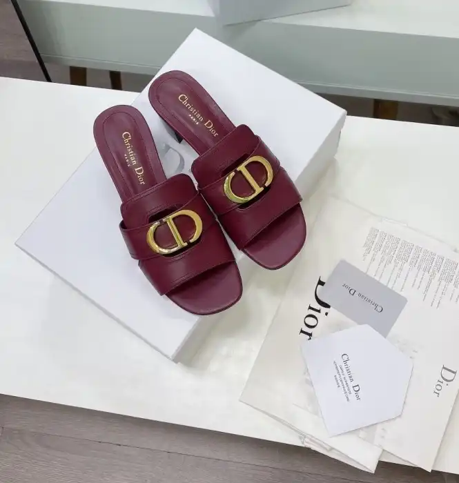 hype Christian Dior Slippers