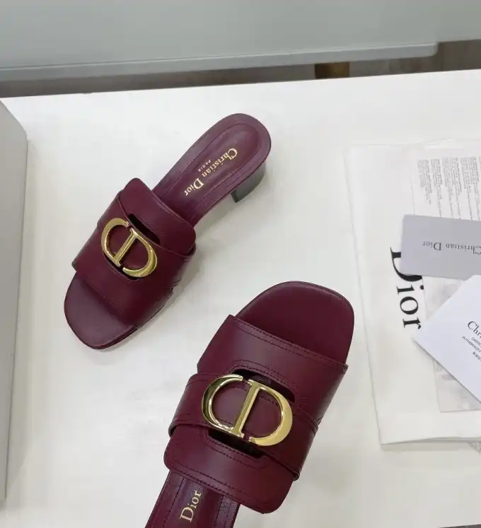 hype Christian Dior Slippers