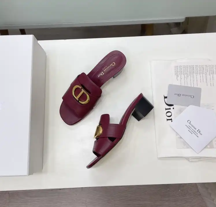 hype Christian Dior Slippers