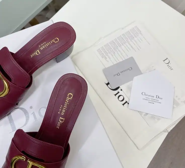 hype Christian Dior Slippers