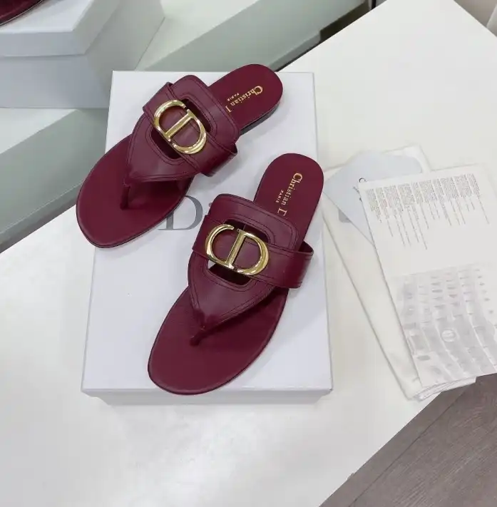 hype Christian Dior Slippers