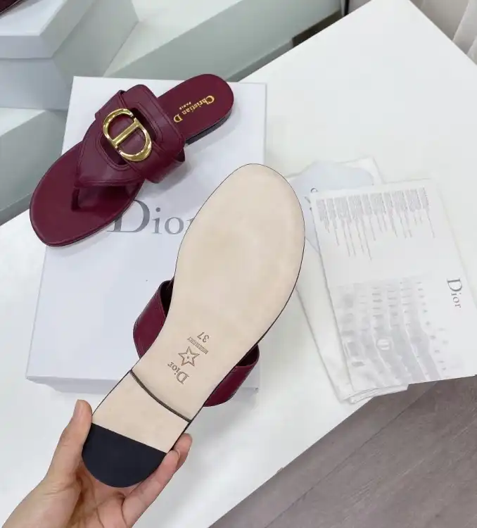 hype Christian Dior Slippers