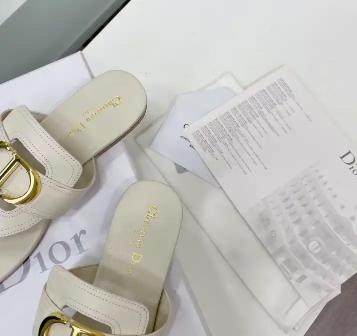 hype Christian Dior Slippers