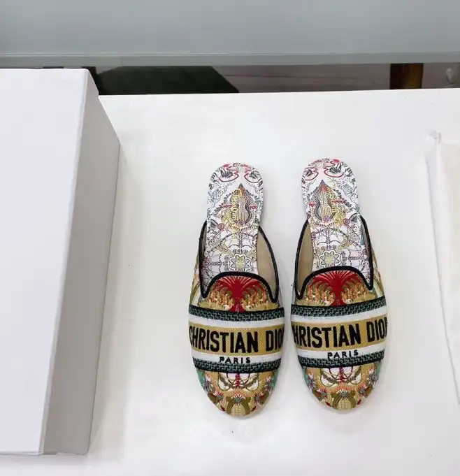 hype Christian Dior Slippers