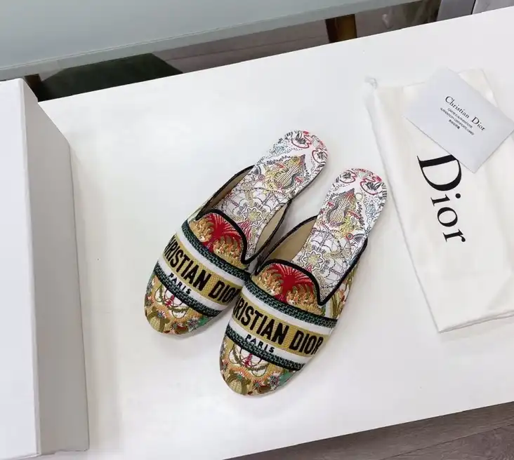 hype Christian Dior Slippers