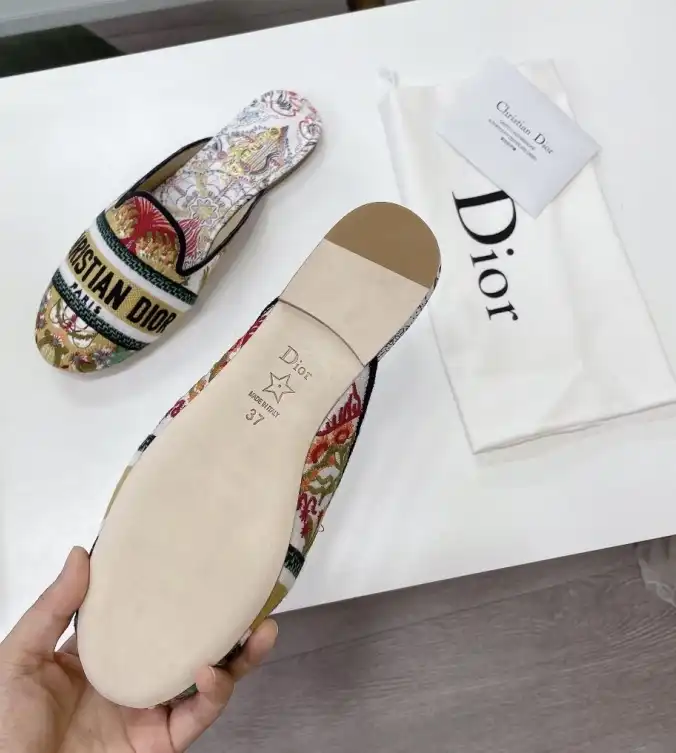 hype Christian Dior Slippers