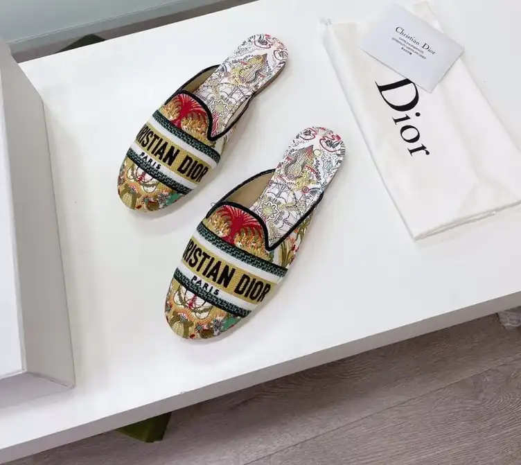 hype Christian Dior Slippers