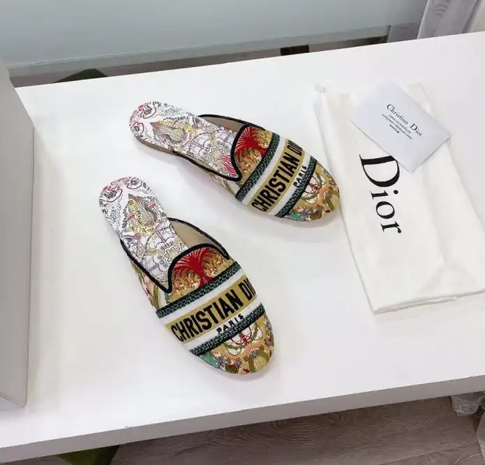 hype Christian Dior Slippers