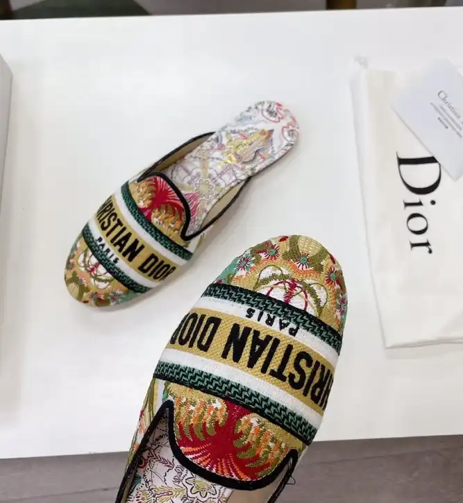 hype Christian Dior Slippers