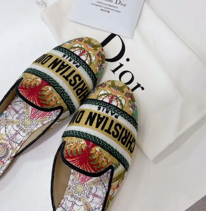 hype Christian Dior Slippers