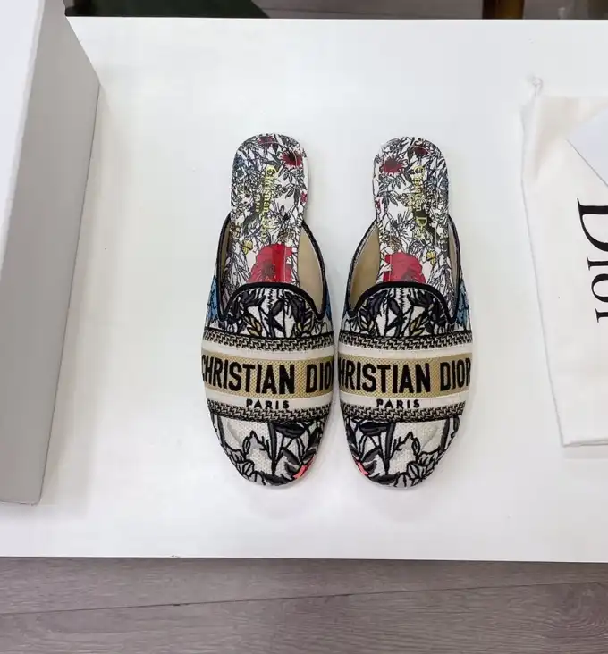 hype Christian Dior Slippers