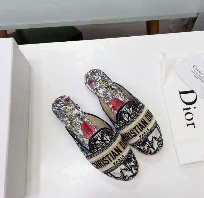 hype Christian Dior Slippers