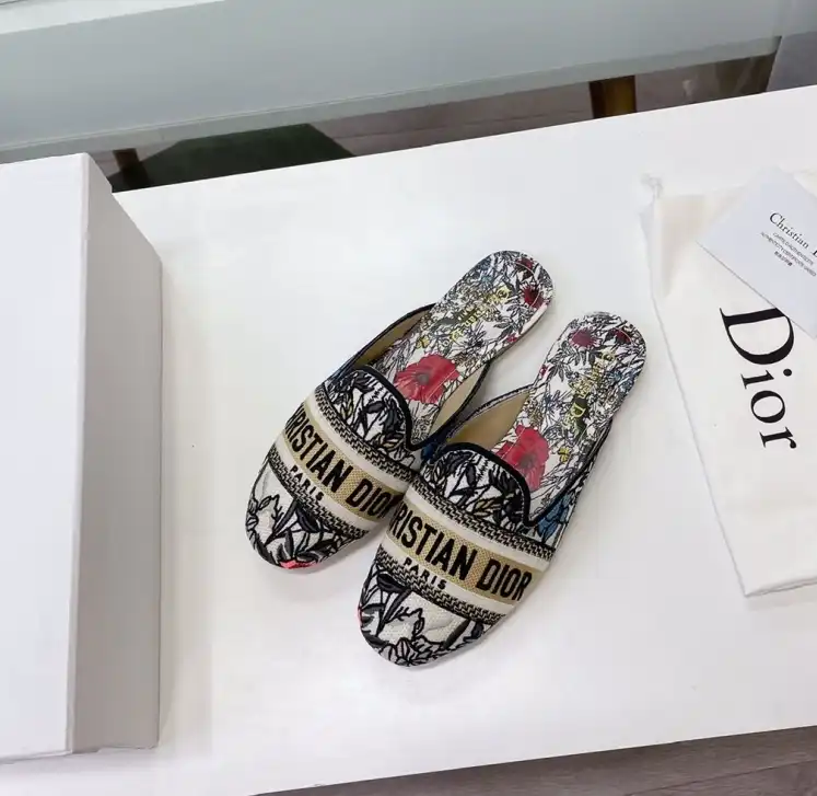 hype Christian Dior Slippers