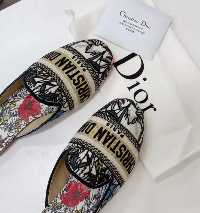 hype Christian Dior Slippers