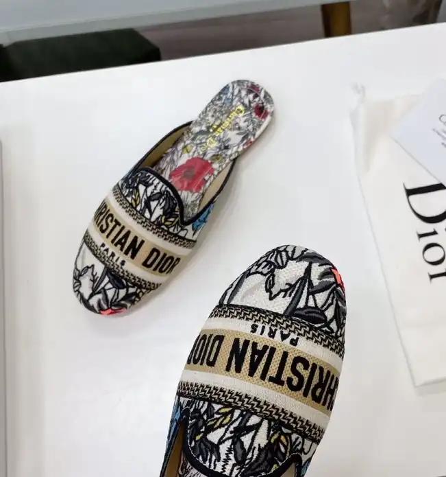 hype Christian Dior Slippers