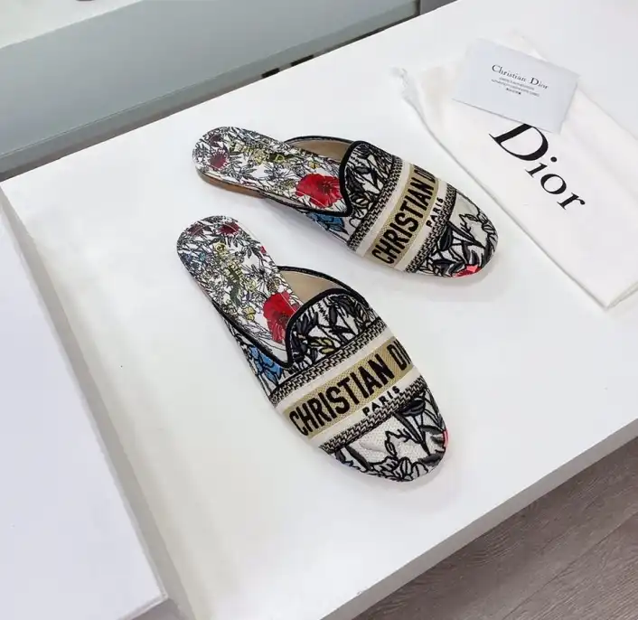 hype Christian Dior Slippers