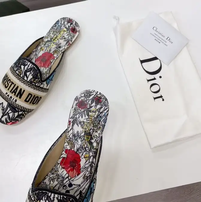 hype Christian Dior Slippers