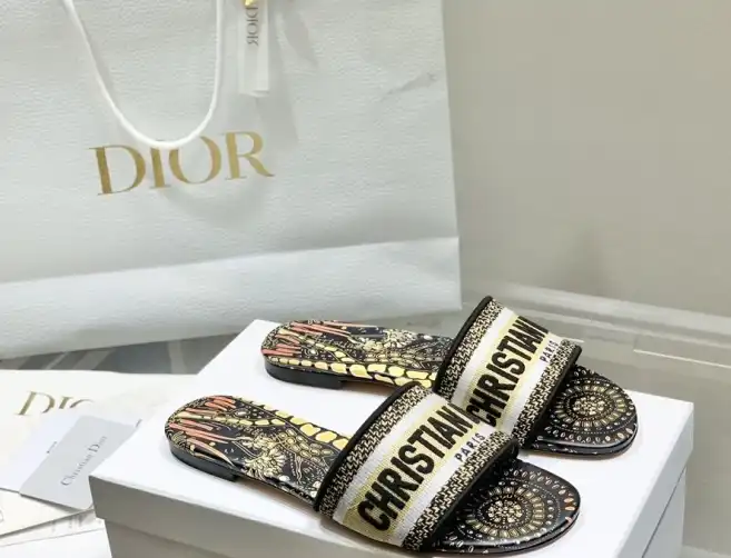 hype Christian Dior Slippers