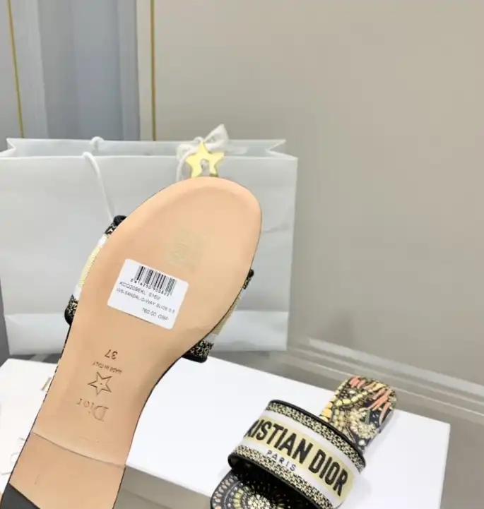 hype Christian Dior Slippers