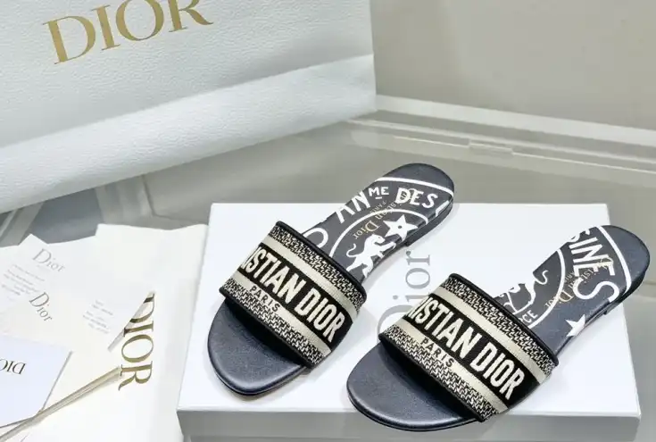 hype Christian Dior Slippers