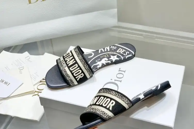 hype Christian Dior Slippers