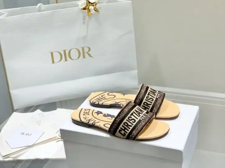 hype Christian Dior Slippers