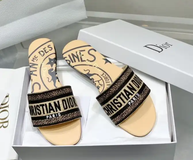 hype Christian Dior Slippers