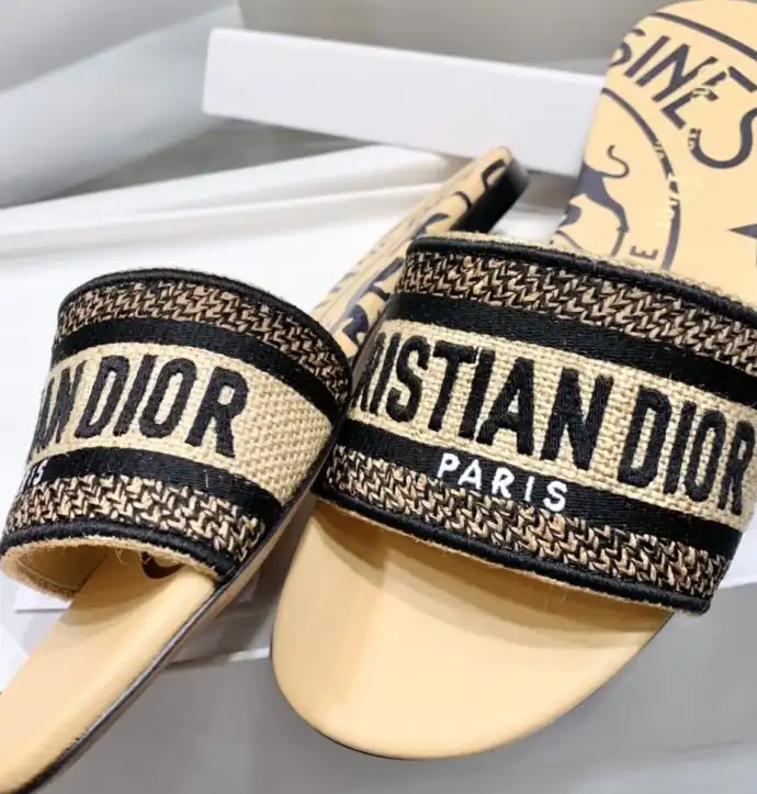 hype Christian Dior Slippers