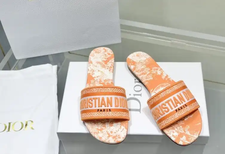 hype Christian Dior Slippers