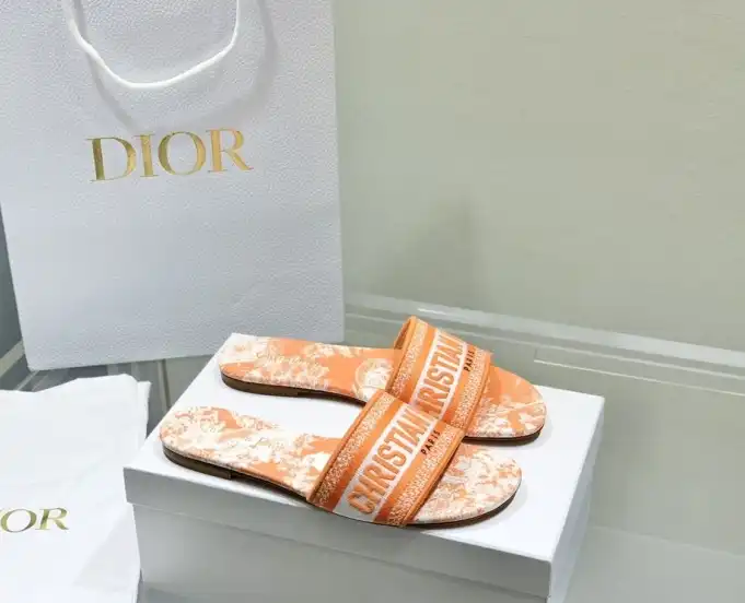 hype Christian Dior Slippers