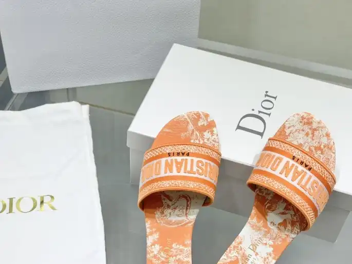 hype Christian Dior Slippers