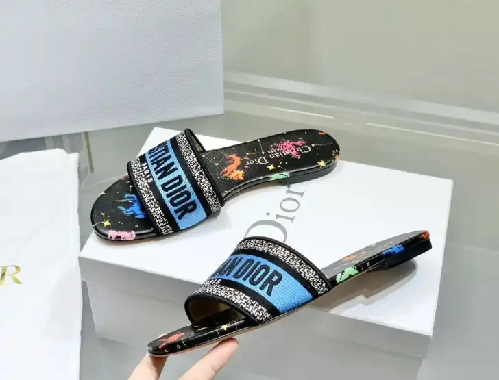 hype Christian Dior Slippers