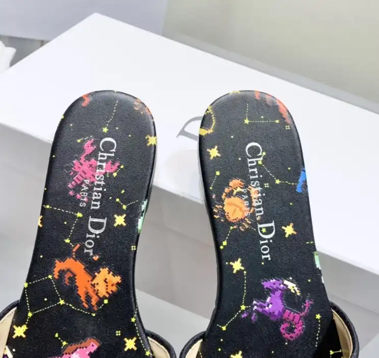 hype Christian Dior Slippers