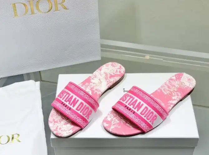 hype Christian Dior Slippers