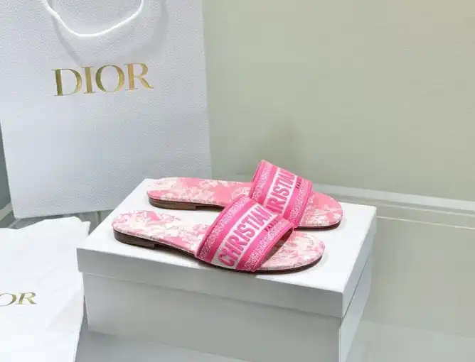 hype Christian Dior Slippers