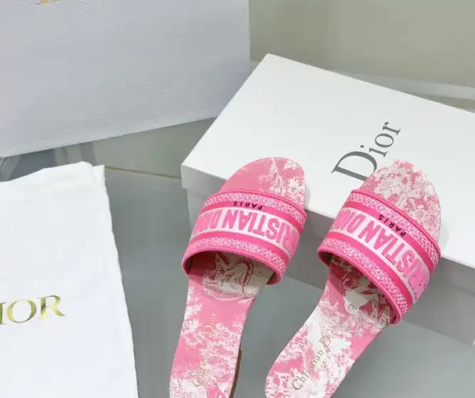 hype Christian Dior Slippers