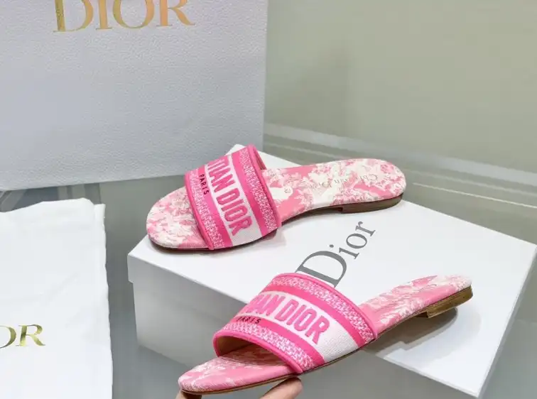 hype Christian Dior Slippers